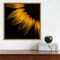 Sunflower Detail by Brian Carson 16-in. W x 16-in. H. Canvas Wall Art Print Framed in Gold